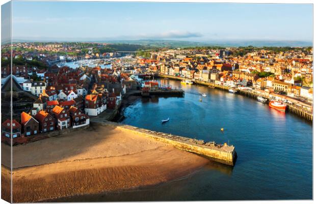 Discovering the Wonders of Whitby Canvas Print by Tim Hill
