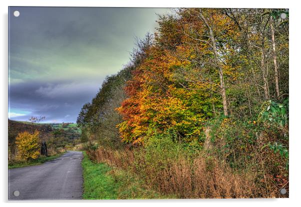 Parc Cwm Darran Acrylic by Steve Purnell