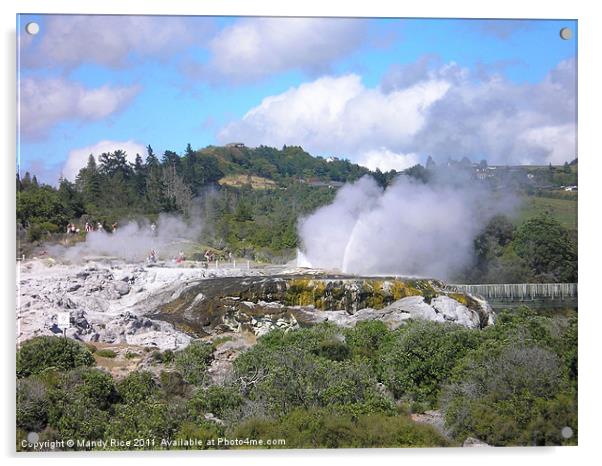 Thermal Village Rotorua NZ Acrylic by Mandy Rice