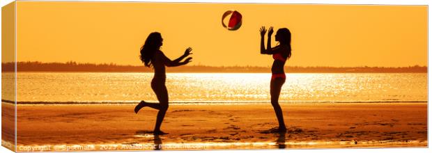 Panoramic silhouette friends with beach ball at sunset Canvas Print by Spotmatik 