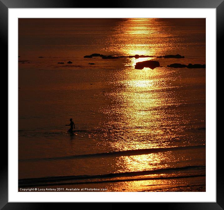 Sunset swimmer Framed Mounted Print by Lucy Antony