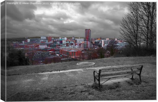 Sheffield  Canvas Print by Alison Chambers
