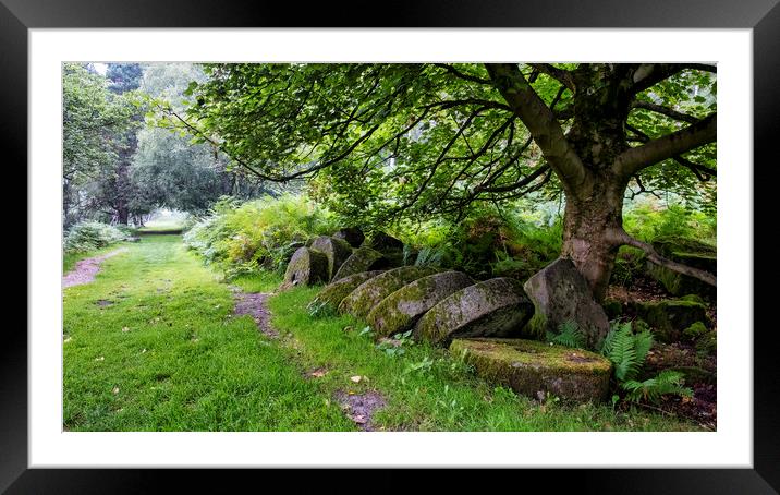 The Forgotten Giant Millstones Framed Mounted Print by Tim Hill