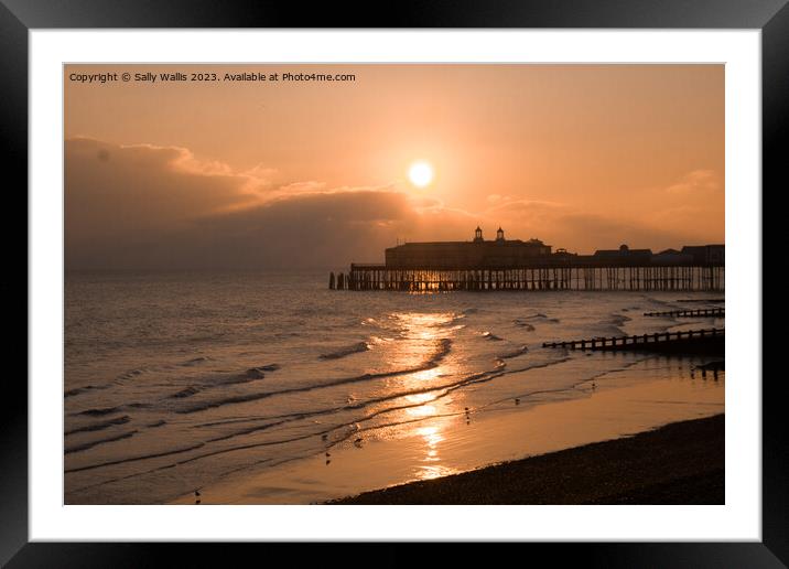 Hastings Pier late evening Framed Mounted Print by Sally Wallis