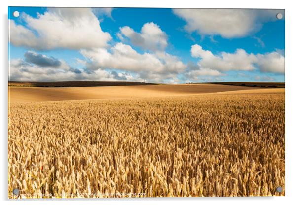 A Time to Reap Acrylic by Slawek Staszczuk