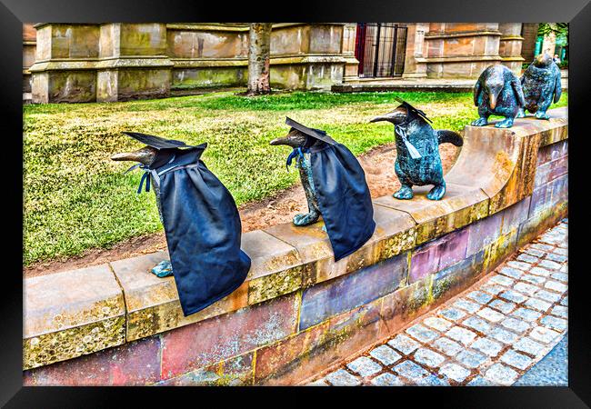 Penguin Parade Dundee Framed Print by Valerie Paterson