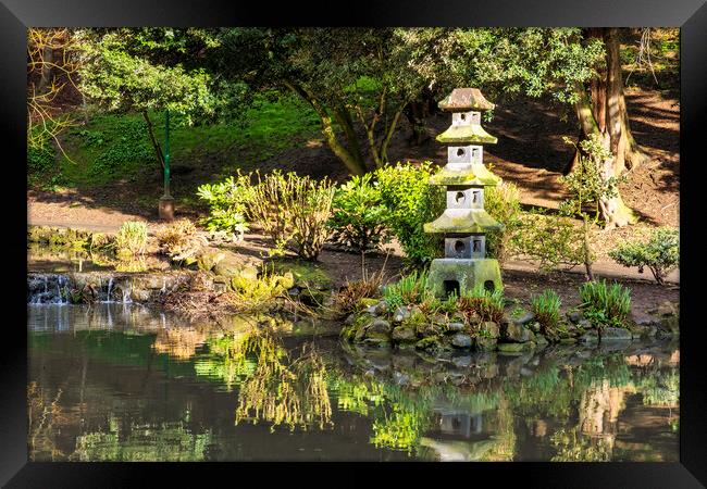 Serene Japanese Garden in Yorkshire Framed Print by Tim Hill
