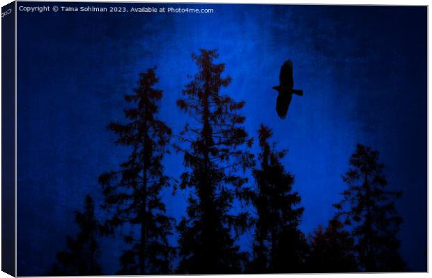 Hooded Crow Flying in Mystic Forest Canvas Print by Taina Sohlman