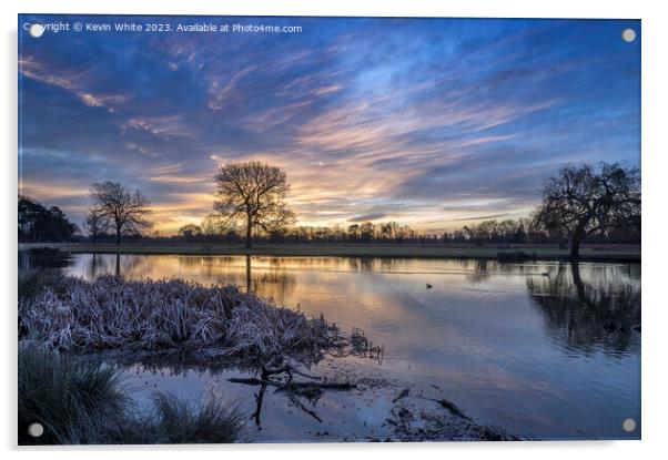 Frosty February sunrise at Bushy Park ponds Acrylic by Kevin White