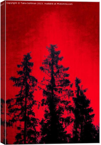 Mystic Forest Against Red Sky Canvas Print by Taina Sohlman
