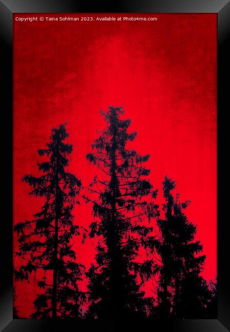 Mystic Forest Against Red Sky Framed Print by Taina Sohlman