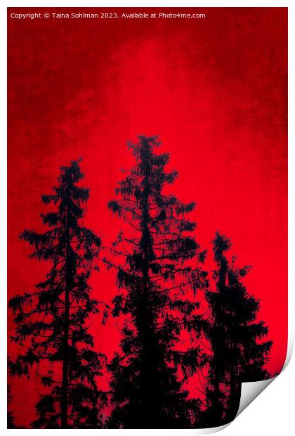 Mystic Forest Against Red Sky Print by Taina Sohlman
