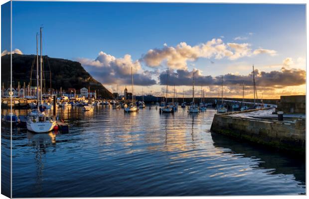 Scarborough Yacht Marina Yorkshire Canvas Print by Tim Hill