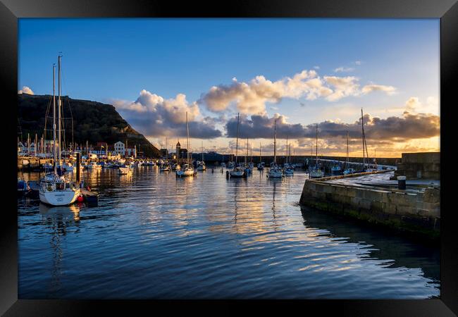 Scarborough Yacht Marina Yorkshire Framed Print by Tim Hill