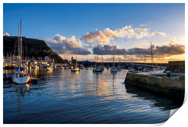 Scarborough Yacht Marina Yorkshire Print by Tim Hill