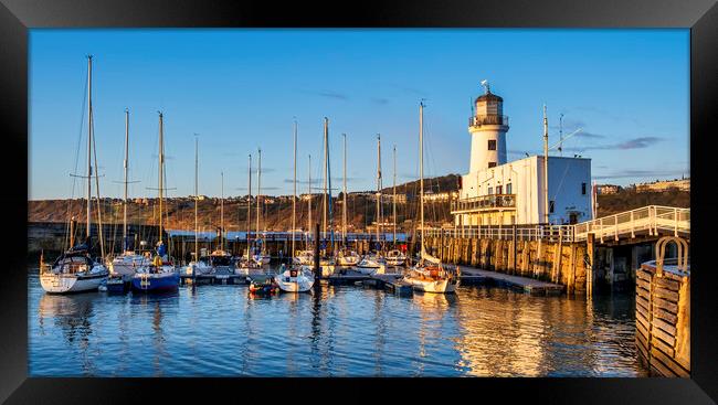 Scarborough Lighthouse Yorkshire Framed Print by Tim Hill