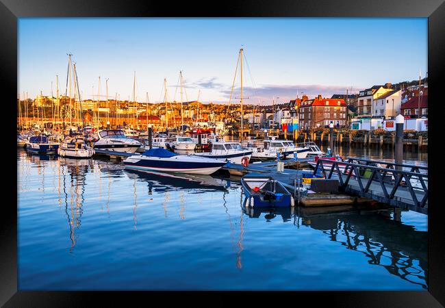 Serenity by the Sea Framed Print by Tim Hill