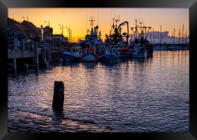Serenity at Scarborough Harbour Framed Print by Tim Hill
