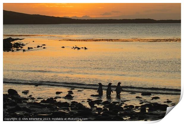 Meeting at Sunset. Print by ANN RENFREW