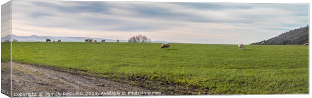 Panorama between the village of Little Wenlock and The Wrekin Hill.  Canvas Print by Pamela Reynolds