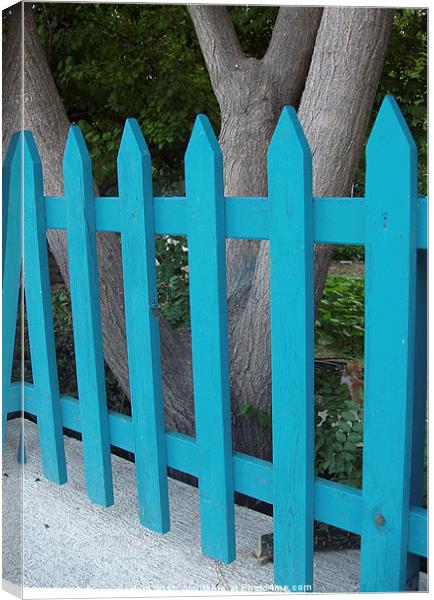 Blue fence against grey bark. Canvas Print by DEE- Diana Cosford