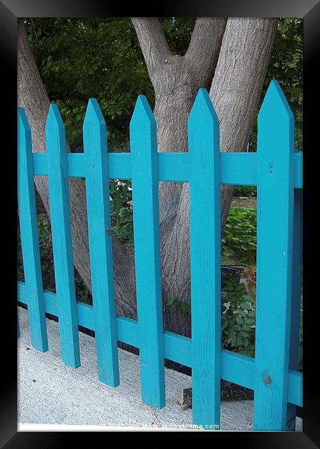 Blue fence against grey bark. Framed Print by DEE- Diana Cosford