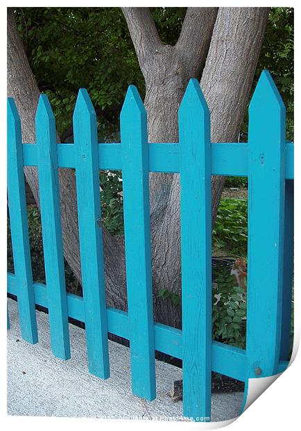 Blue fence against grey bark. Print by DEE- Diana Cosford