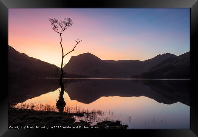 Buttermere Lone Tree Sunrise Framed Print by Mark Hetherington