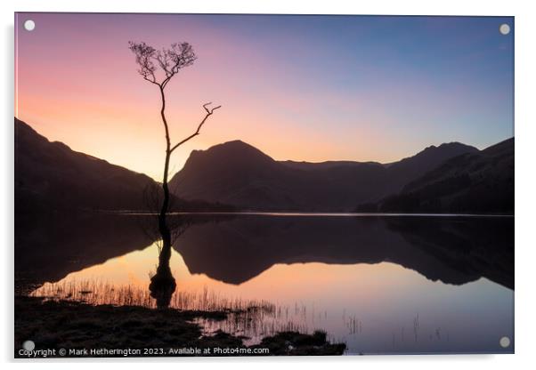 Buttermere Lone Tree Sunrise Acrylic by Mark Hetherington