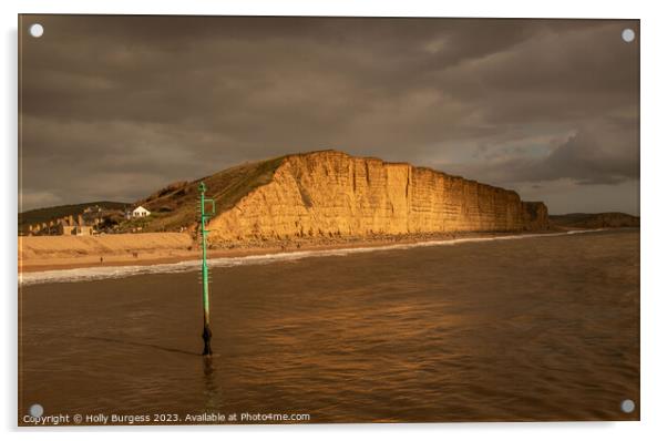 Crumbling Cliffs: West Bay's Dramatic Landscape Acrylic by Holly Burgess