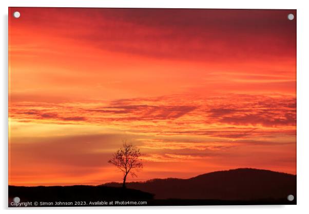 Sunset  Acrylic by Simon Johnson