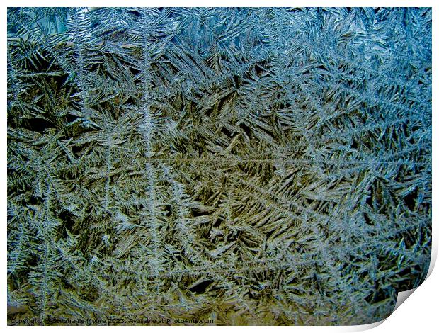 Ice Crystals Print by Stephanie Moore