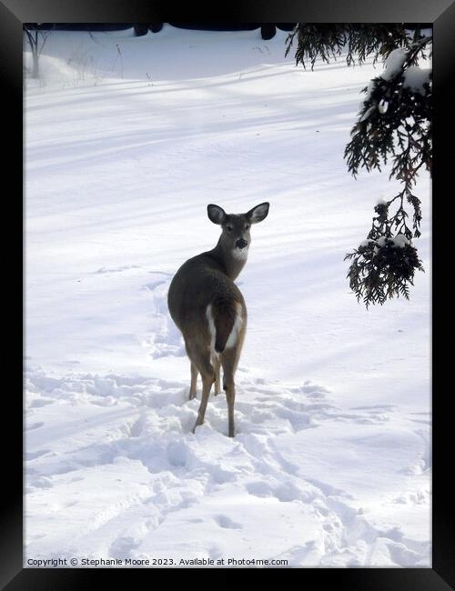 Are you coming? Framed Print by Stephanie Moore