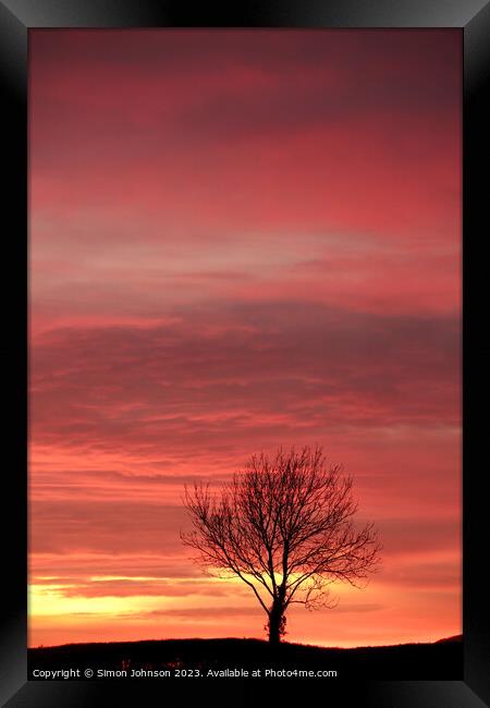 Tree Silhouette  Framed Print by Simon Johnson