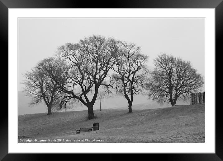 Trees In The Mist Framed Mounted Print by Lynne Morris (Lswpp)
