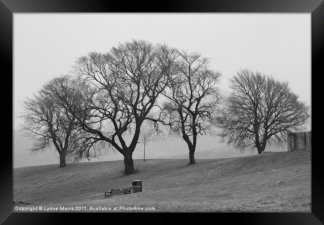 Trees In The Mist Framed Print by Lynne Morris (Lswpp)