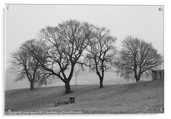 Trees In The Mist Acrylic by Lynne Morris (Lswpp)
