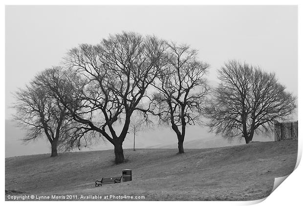 Trees In The Mist Print by Lynne Morris (Lswpp)
