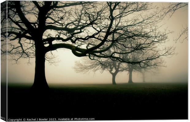 Trees in the Mist Canvas Print by RJ Bowler