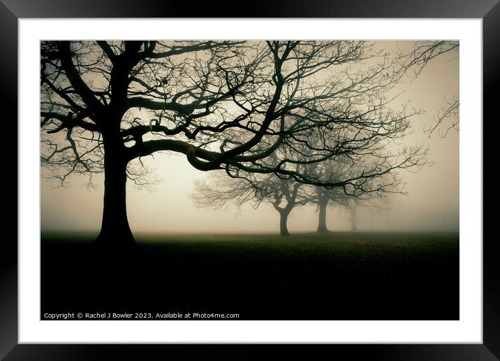 Trees in the Mist Framed Mounted Print by RJ Bowler
