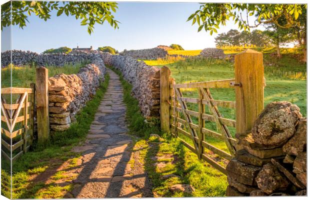 Sunrise Path through Yorkshire Countryside Canvas Print by Tim Hill