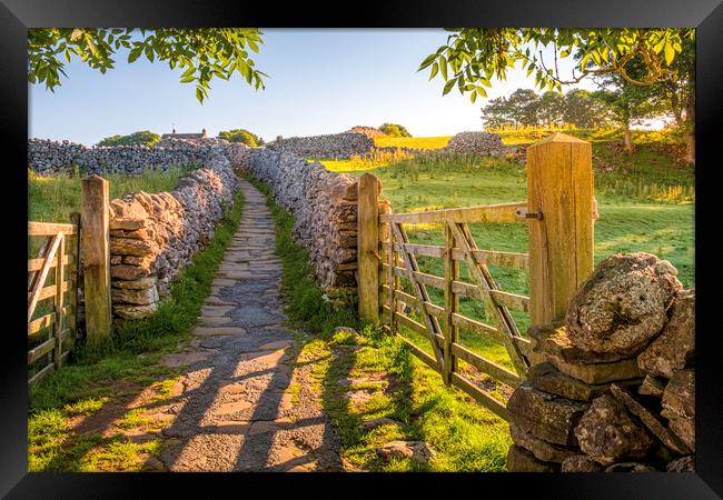Sunrise Path through Yorkshire Countryside Framed Print by Tim Hill