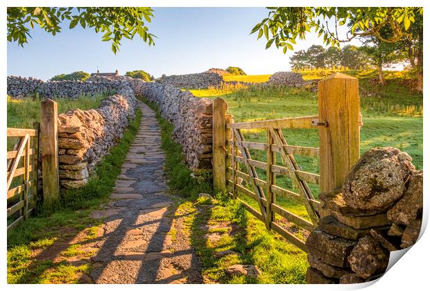 Sunrise Path through Yorkshire Countryside Print by Tim Hill