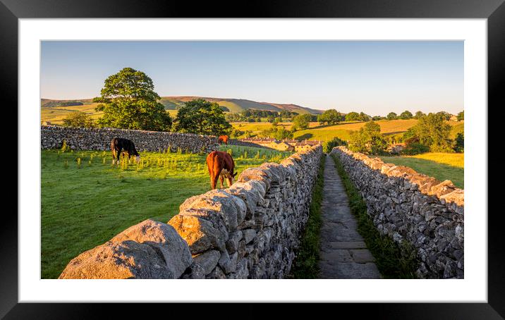 A Golden Path through Yorkshires Countryside Framed Mounted Print by Tim Hill