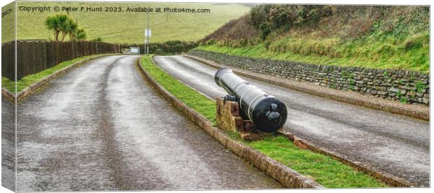 A Lone Cannon Guarding The Road Canvas Print by Peter F Hunt