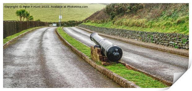 A Lone Cannon Guarding The Road Print by Peter F Hunt