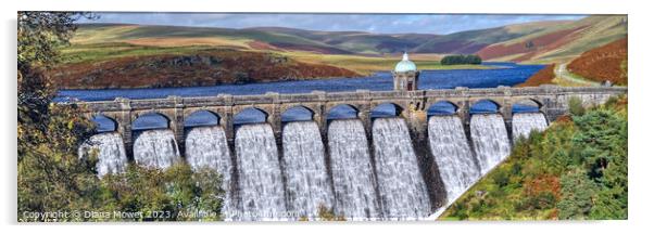 Craig Goch Reservoir Elan Valley Panoramic Acrylic by Diana Mower