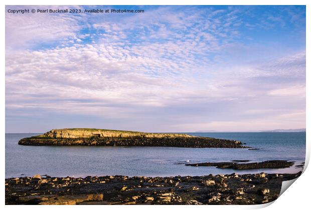 Ynys Moelfre Island Anglesey Seascape Print by Pearl Bucknall
