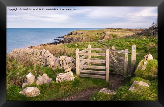 Anglesey Coastal Path Moelfre Framed Print by Pearl Bucknall