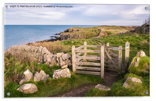 Anglesey Coastal Path Moelfre Acrylic by Pearl Bucknall